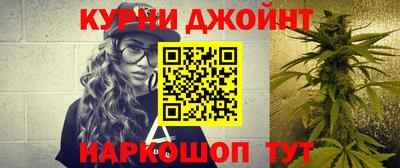 гидра Гусев