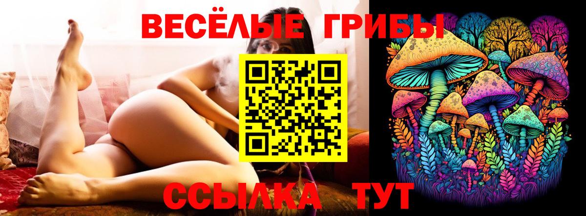 Галлюциногенные грибы Magic Shrooms  Вход с VPN  как найти закладки  Мыски 